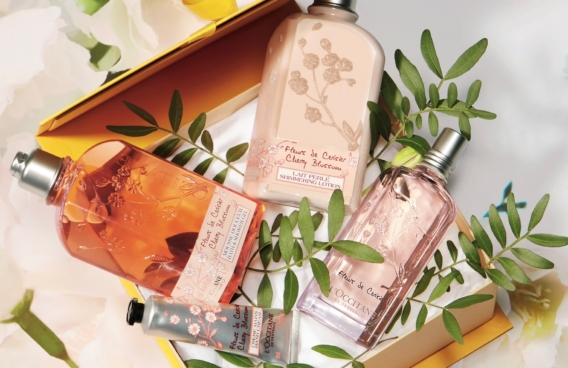 Легенды Прованса <br /> в л’Окситан!